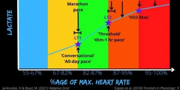 Làm sao để đo lường?