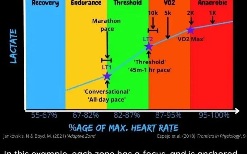 Làm sao để đo lường?