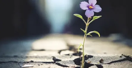 Chấp nhận nỗi khổ