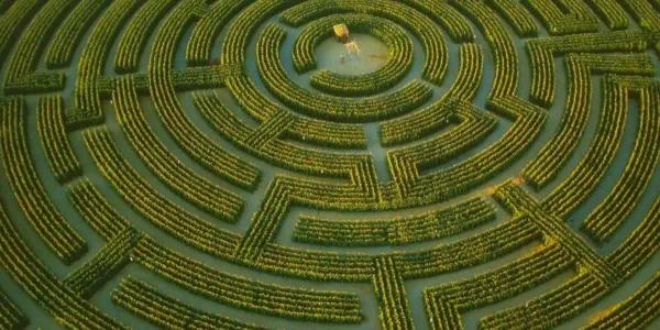 Học tập trong mê cung của nền giáo dục