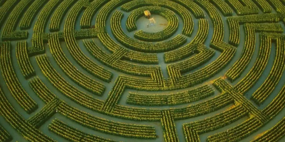 Học tập trong mê cung của nền giáo dục