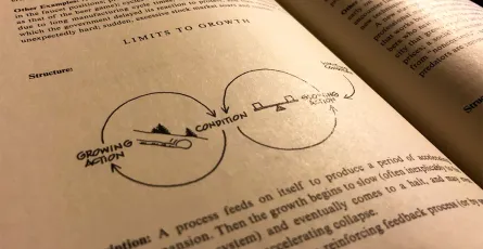 Nguyên lý thứ 5 (The Fifth Discipline)