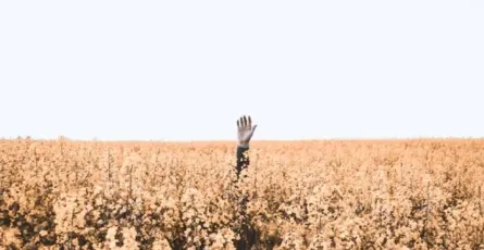 Nhận diện hai rào cản của bạn