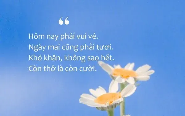 Hành trình đi tìm động lực sống