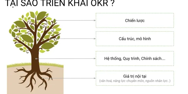 OKR - Tại sao lại triển khai cho tổ chức?