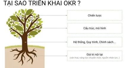OKR - Tại sao lại triển khai cho tổ chức?