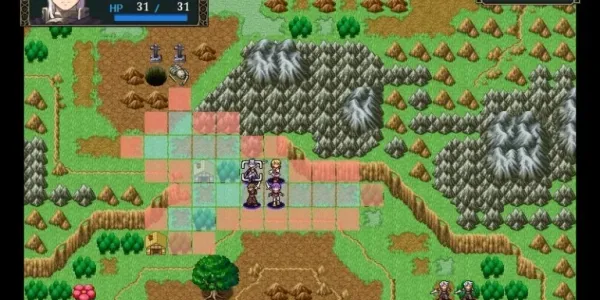 Bạn có thích T-RPG (Tactical RPG) ?